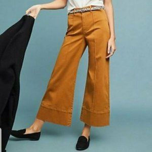 Anthropologie Pintucked Chino Wide Leg Pants 14